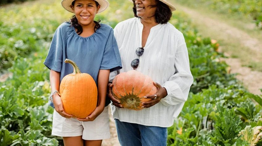 Ultrices sagittis orci a scelerisque purus semper eget duis at. Sollicitudin nibh sit amet.